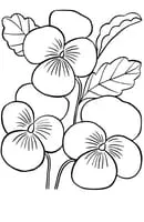 Bloemen kleurplaat 16