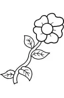 Bloemen kleurplaat 25
