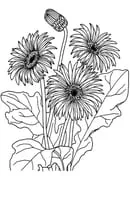 Bloemen kleurplaat 3