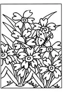 Bloemen kleurplaat 6
