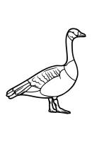 Canada kleurplaat 9