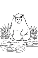Capibara kleurplaat 2