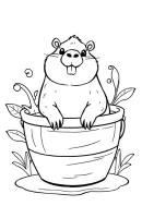 Capibara kleurplaat 3