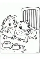 Cavia kleurplaat 11