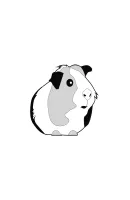 Cavia kleurplaat 15