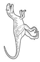 Dinosaurus kleurplaat 12