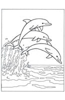 Dolfijnen kleurplaat 11