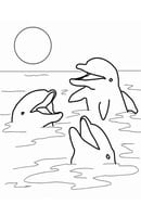 Dolfijnen kleurplaat 6