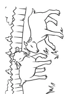 Geiten kleurplaat 11