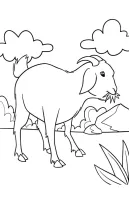 Geiten kleurplaat 6