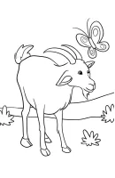 Geiten kleurplaat 7