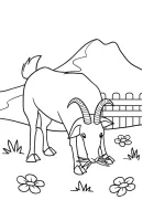 Geiten kleurplaat 8