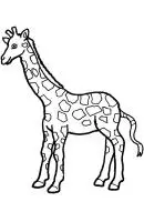 Giraffe kleurplaat 13