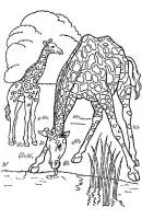 Giraffe kleurplaat 14
