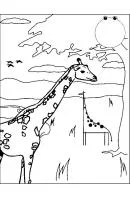 Giraffe kleurplaat 15