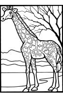 Giraffe kleurplaat 22