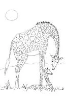 Giraffe kleurplaat 25