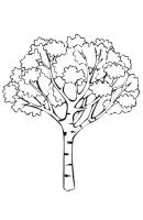 Herfst kleurplaat 18