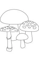 Herfst kleurplaat 27