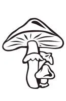 Herfst kleurplaat 28