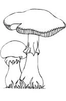 Herfst kleurplaat 29