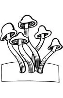 Herfst kleurplaat 30