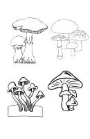Herfst kleurplaat 31