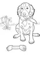 Honden kleurplaat 1