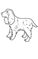 Honden kleurplaat 10