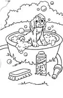Honden kleurplaat 14