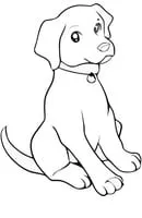 Honden kleurplaat 19