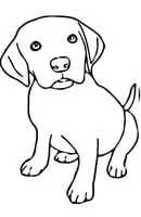 Honden kleurplaat 21