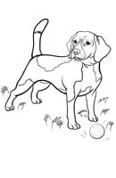Honden kleurplaat 4