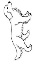 Honden kleurplaat 7