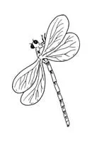 Insecten kleurplaat 10