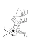Insecten kleurplaat 6