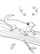 Kameleon kleurplaat 1