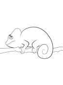 Kameleon kleurplaat 2