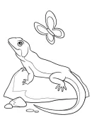 Kameleon kleurplaat 3
