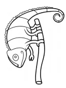 Kameleon kleurplaat 5