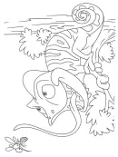 Kameleon kleurplaat 8
