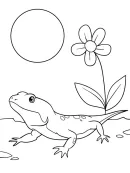 Kameleon kleurplaat 9
