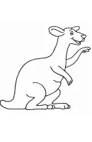 Kangoeroe kleurplaat 17