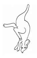 Kangoeroe kleurplaat 18