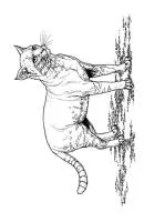Katten kleurplaat 1