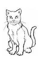 Katten kleurplaat 4