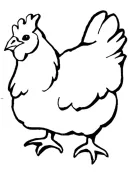 Kippen kleurplaat 11
