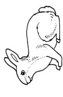 Konijnen kleurplaat 2