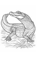 Krokodil kleurplaat 10