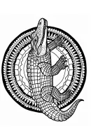 Krokodil kleurplaat 16